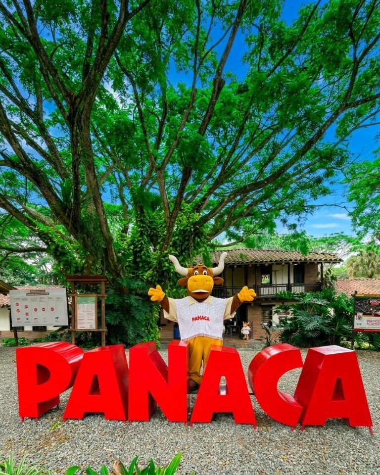 Entrada principal del Parque Temático Panaca en el Quindío, Colombia. En primer plano, grandes letras rojas que deletrean 'PANACA'. Detrás de las letras, una mascota de botarga de un toro sonriente, con un poncho blanco y el logo de Panaca, se para con los brazos abiertos. El fondo muestra un edificio colonial colombiano bajo un gran árbol frondoso.